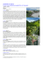 Scheda tour 3437