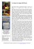 pdf ( 242,12Kb ) Arti Savon