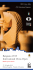 Bergamo 2015 International Chess Open