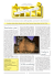 Newsletter 3/04 7.0