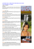 scheda pdf