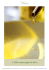 L`olio dell`Agriturismo Germagnana