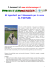 Scarica il Documento sul Fartlek