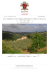 brochure - Romolini