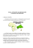 Scarica PDF Progetto Scuola