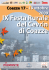 IX Festa Rurale del Cevrin di Coazze