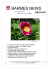 barmes news - Comune di BALME
