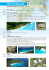 SEYCHELLES - Wincentive Area