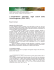 L``imperialismo spirituale` negli esordi della rivista Augustea (1925