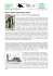 W CULTURE Redazione Note e notizie di