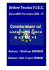 Considerazioni sul sistema di gioco 4-3-2-1