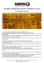 Scarica versione PDF