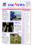 csenews n. 16