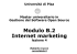 Modulo B.2 Internet marketing