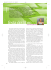 Leggilo in pdf