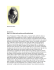 Robert Brasillach