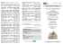 scarica pdf