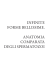 Scarica il file PDF