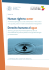 Human right to water Derecho humano al agua