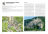 continua - scarica il file pdf