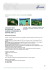 AROUND NEW CALEDONIA - DA EUR 2.458,00 A PERSONA IN