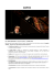 Informazioni: `call for young musicians` e date dei seminari/master