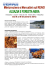 strasburgo – colmar – strada dei vini – foresta nera