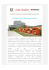 Alibaba Global Shopping Festival - Consolato Generale