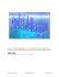 analisi_acque_met_3 ocb