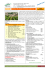 francia bordeaux tra vigneti e chateaux (cod.f14) tour individuale