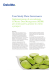 Case Study Data Governance
