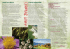 Amori Botanici - Università degli Studi dell`Aquila