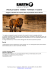 Programma Speciale Agosto - Namibia - Partenza 17