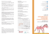 ecocardiologia clinica nel cavallo sportivo
