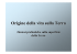 L`origine della vita