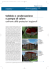 Articolo scaricabile gratuitamente in PDF