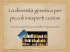 Diversità genetica per