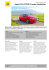 Test Audi A3