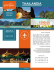 scarica l`offerta in pdf