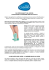 calypso beauty gel socks