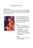 Kamasutra illustrato