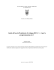 Guida all`uso dell`ambiente di sviluppo DEV