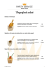 Fingerfood salati