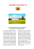 MARINEO MAGAZINE 2.0