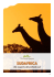 sudafrica - The Travel Family