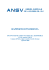 ANSV rapporto I-DPCN