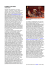 versione estesa dell`articolo
