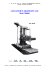 scheda pdf