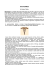 sos hermes - metodocalligaris