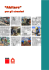 visualizza la pubblicazione in pdf